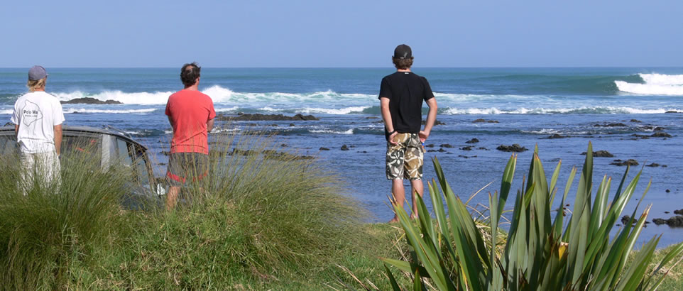 Endless Summer Surfing NZ